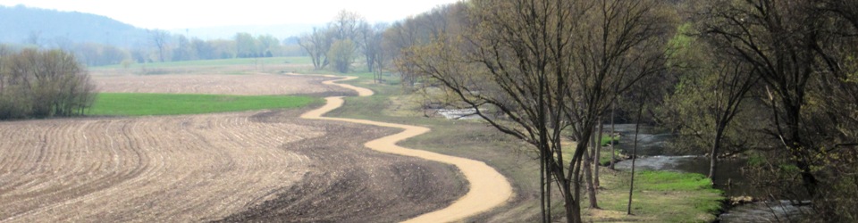 Upstream view along the creek